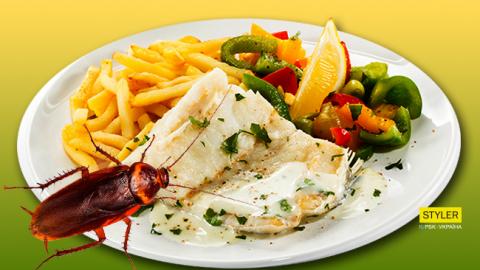 "Тарган в клярі": у київському кафе відвідувачів чекав неприємний сюрприз