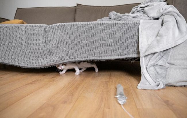 7 речей, які не варто зберігати під ліжком