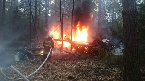 В Польше разбился военный истребитель