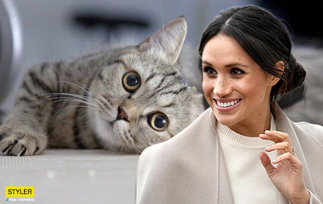 Страждав від ожиріння: на честь кого Меган Маркл назвала свого сина