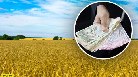 Сколько га земли мы сможем купить и когда: это важно знать