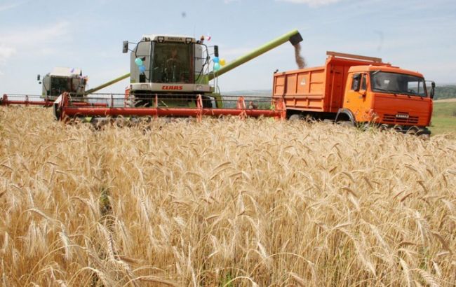 Глобальне потепління може знищити деякі види зернових культур до 2070