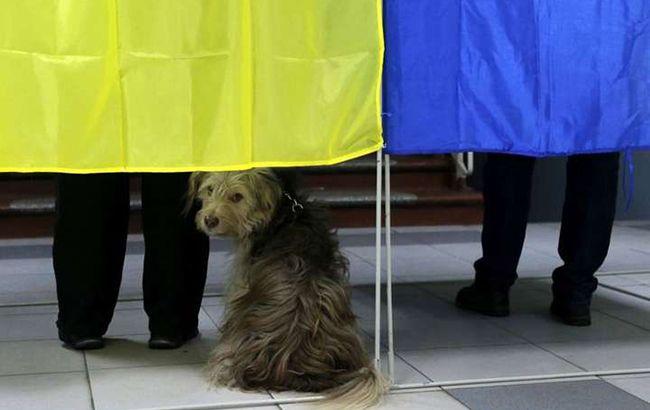 Украинцам рассказали, кто такие наблюдатели на выборах и как ими стать