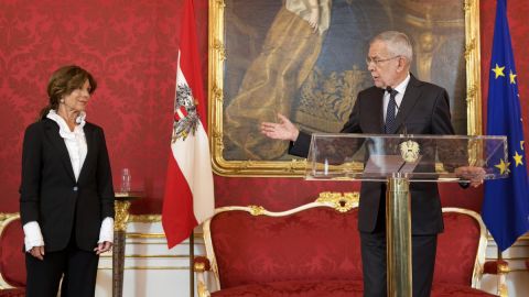 Президент Австрии назначил временного канцлера