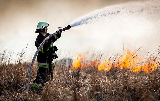 Синоптики предупреждают о высоком уровне пожарной опасности в Киеве и области