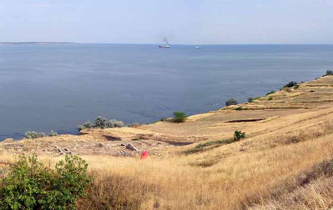 Біля берегів Бузького лиману турецьке судно розлило рослинне масло