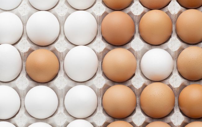 Белые или темные? Диетолог развенчал самый популярный миф о яйцах