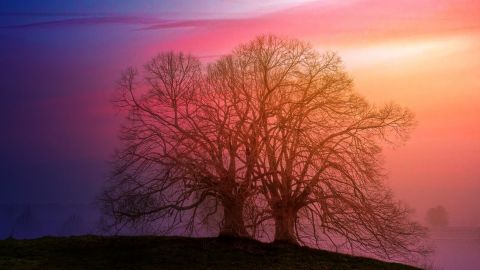 Венера переходить в знак Рака: астролог розповіла, що суворо заборонено робити в цей період