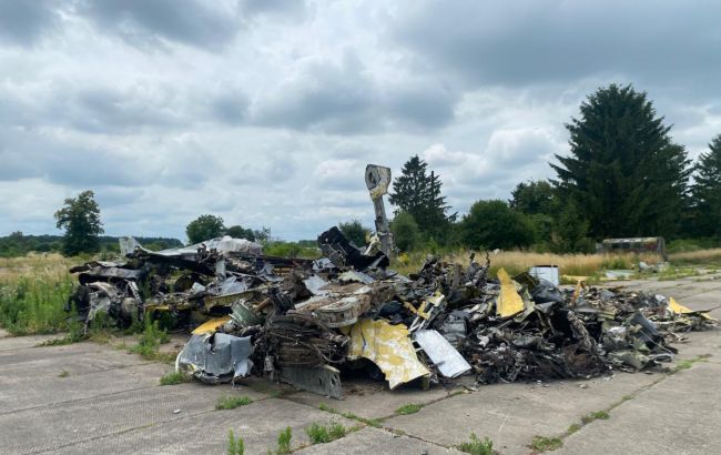 Причиною падіння Су-24М на Хмельниччині міг бути птах