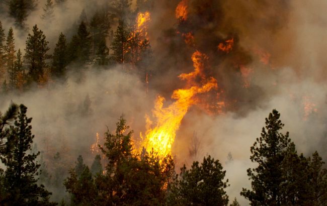 ДСНС заявляє про підвищену пожежну небезпеку в Україні