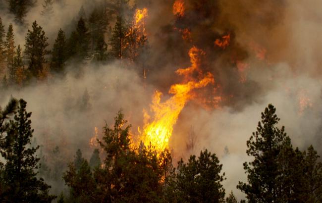 ДСНС попереджає про пожежну небезпеку в деяких областях України 13-15 червня