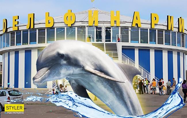 "У мене ванна більше їх басейну": у мережі спалахнула суперечка в зв'язку з закриттям дельфінарію в Києві