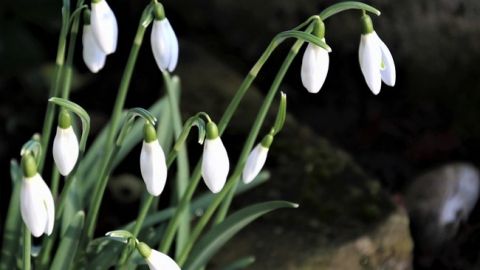 Мокрое потепление: чем порадует погода до конца недели