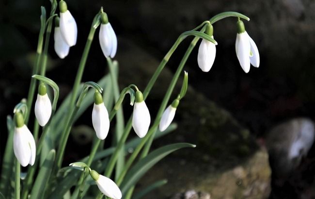 Мокре потепління: чим порадує погода до кінця тижня