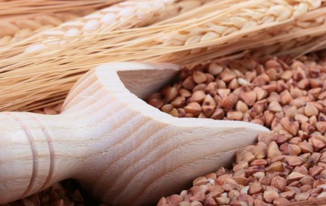 Аграрний фонд планує закупити 25-30 тис. тонн гречки