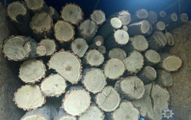 У Запоріжжі затримали 8 осіб, які незаконно вирубували дерева