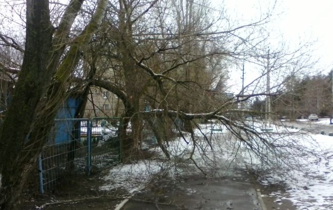 В Украине из-за непогоды обесточены 138 населенных пунктов