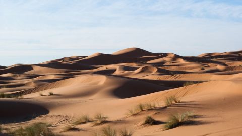 Интересные факты о пустыне Чиуауа, которая находится на территории двух стран