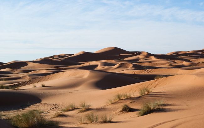 Цікаві факти про пустелю Чіуауа, яка знаходиться на території двох країн