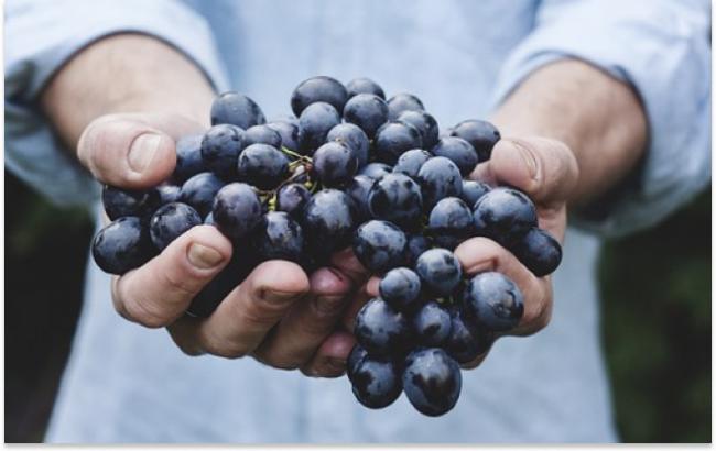 Ученые выяснили, какой фрукт предотвращает рак