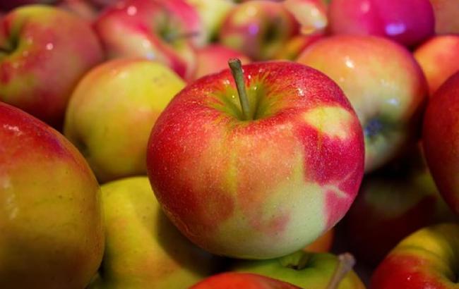 Диетолог назвала топ-3 малоизвестных фактов о яблоках