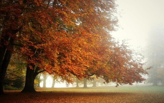 Погода на сегодня: в Украине без осадков, температура до +14