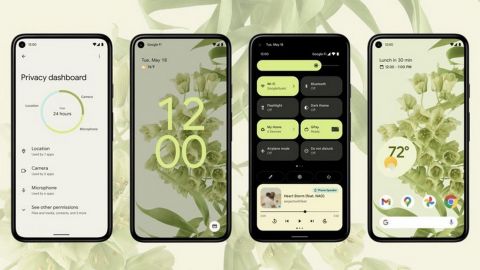 Из последней сборки Android 12 убрали настройки внешнего вида интерфейса