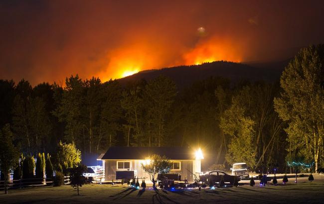 В Канаде борются с масштабным лесным пожаром, охватившим 467 га