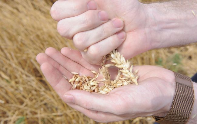 Депутаты в РФ призвали вывозить зерно с оккупированных районов Херсонской области