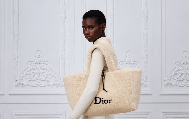 Пингвин, шишка и пушистая сумка: 10 вещей из зимней капсулы Dior