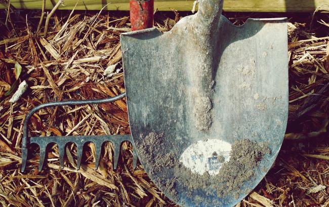 "Как тренировка в зале": Супрун рассказала о пользе "агрофитнеса"