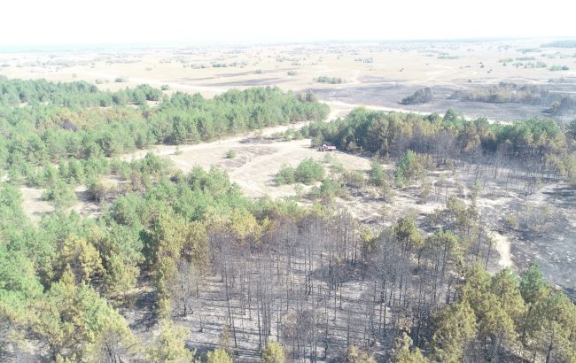 В Украине объявлен чрезвычайный уровень пожарной опасности