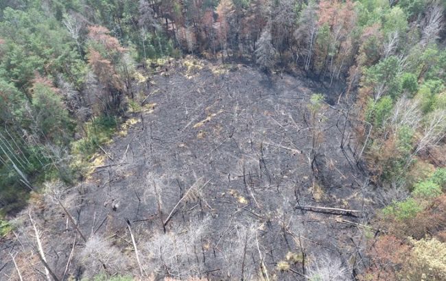 Рятувальники ліквідували пожежу біля Чорнобильської АЕС