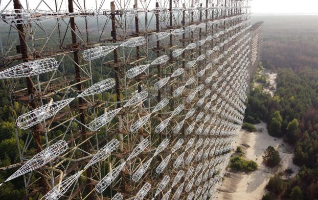 В Чорнобилі виявили істот, які не постраждали від жахливої катастрофи