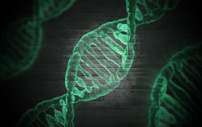 У людей зникне Y-хромосома: що буде з чоловіками