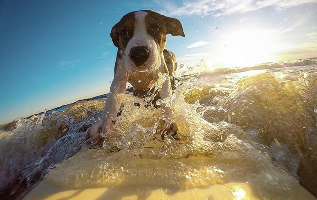 Синоптик предупредила о приближающейся жаре