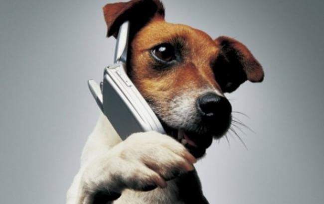 В Сети появились первые "фотожабы" на тему ребрендинга МТС в Vodafone