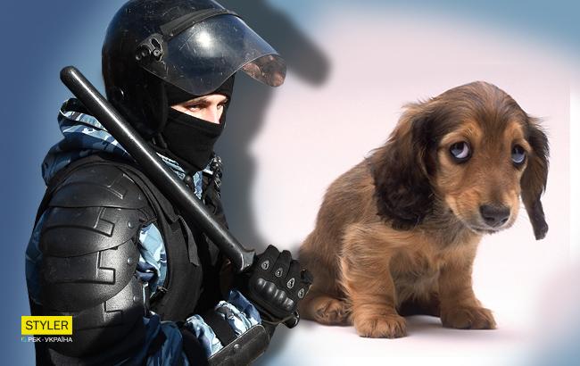 "Вся земля в крови": в России полицейский снял на видео, как убивает собаку