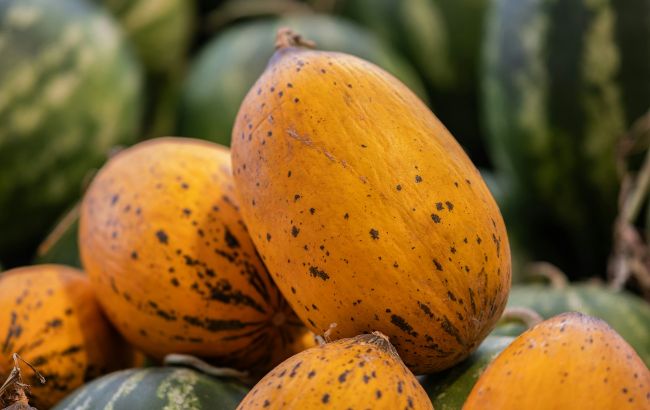 Ніколи не купуйте такі дині: три небезпечні ознаки, які легко перевірити на ринку