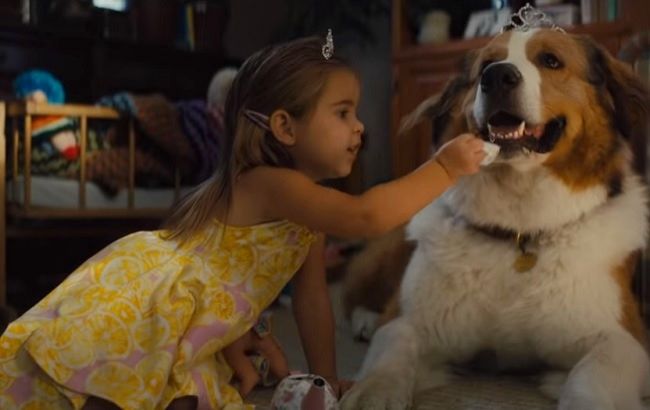 Фільм "Подорож хорошого пса": дивитися онлайн трейлер