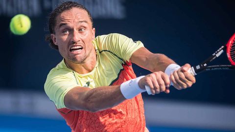 Експерша ракетка України Долгополов повернеться на корт у 2020 році