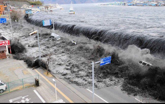 Японія надасть Індонезії радарну систему для раннього виявлення цунамі