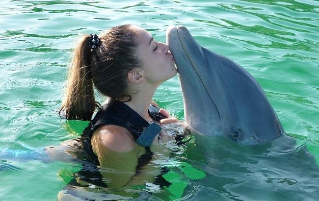 В Международный день дельфинов-пленников активисты требуют закрыть "дельфинарии-тюрьмы"