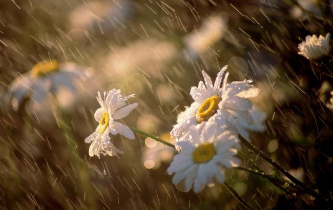 Погода на завтра: в Україні місцями дощі з грозами, температура до +21