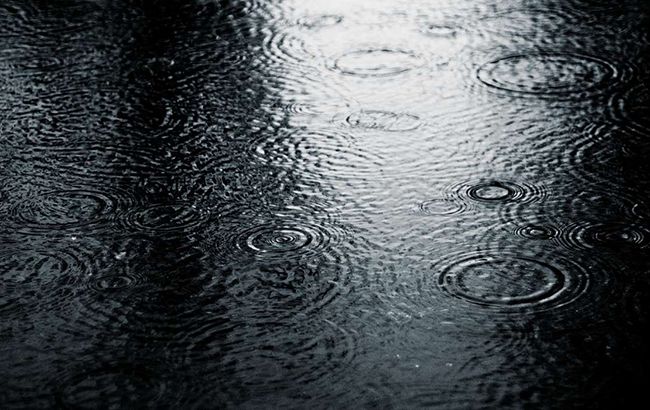 На Закарпатті через негоду знеструмлено 30 населених пунктів, - ДСНС