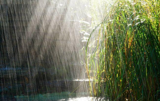 Погода на сегодня: в Украине дожди, температура до +32