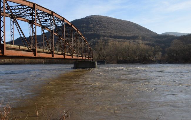 Хотіли переплести Тису на автомобільних камерах: у ДПСУ затримали групу порушників