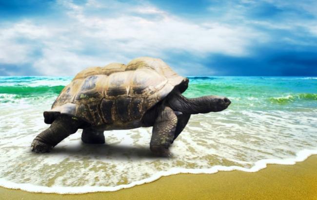 Гороскоп на сьогодні, 6 грудня