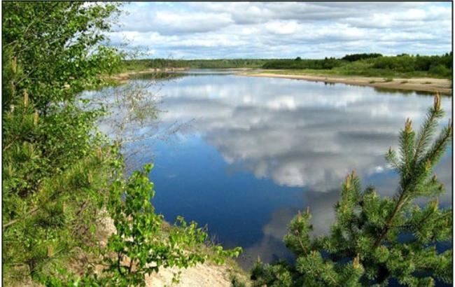 В Донецкой области в озере утонул маленький ребенок