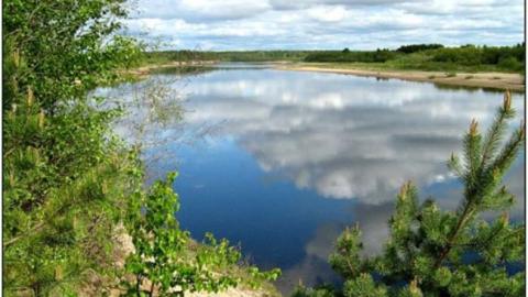 "Еще осталась лужа": в сети показали печальные последствия засухи в Крыму